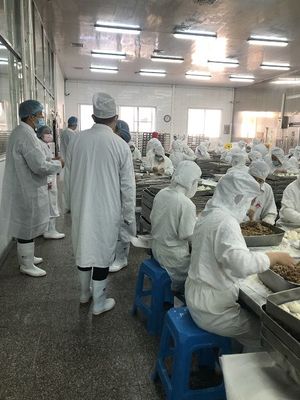 為冬奧會捧出安全可口的“包墩墩”——揚州市場監管部門圓滿完成供冬奧食品生產保障任務